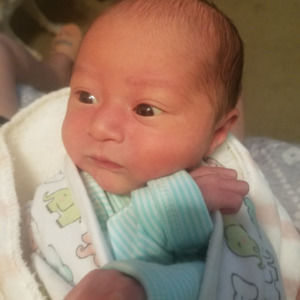 Meet your Posher, Willy